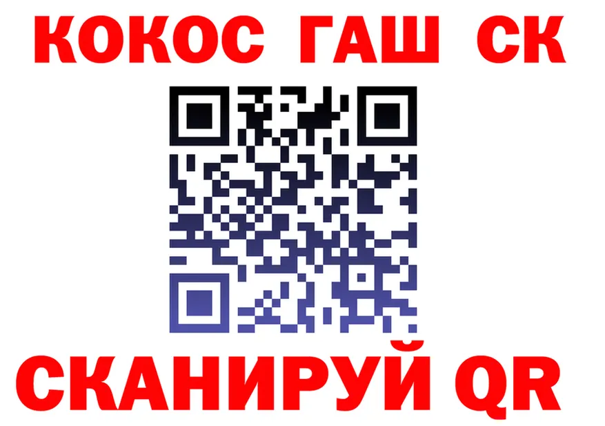ГАШ Изолятор зеркало мориарти MEGA Кингисепп
