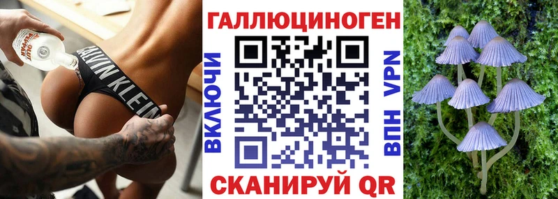 OMG   darknet клад  Галлюциногенные грибы ЛСД  Кингисепп 